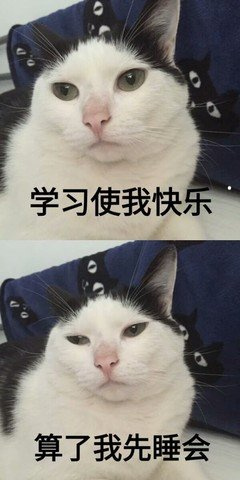 宠物猫狗治疗图片