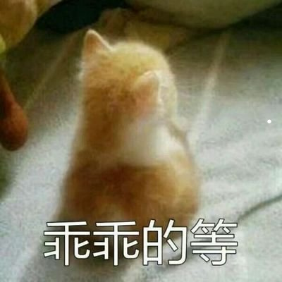 家里养猫养狗的危害