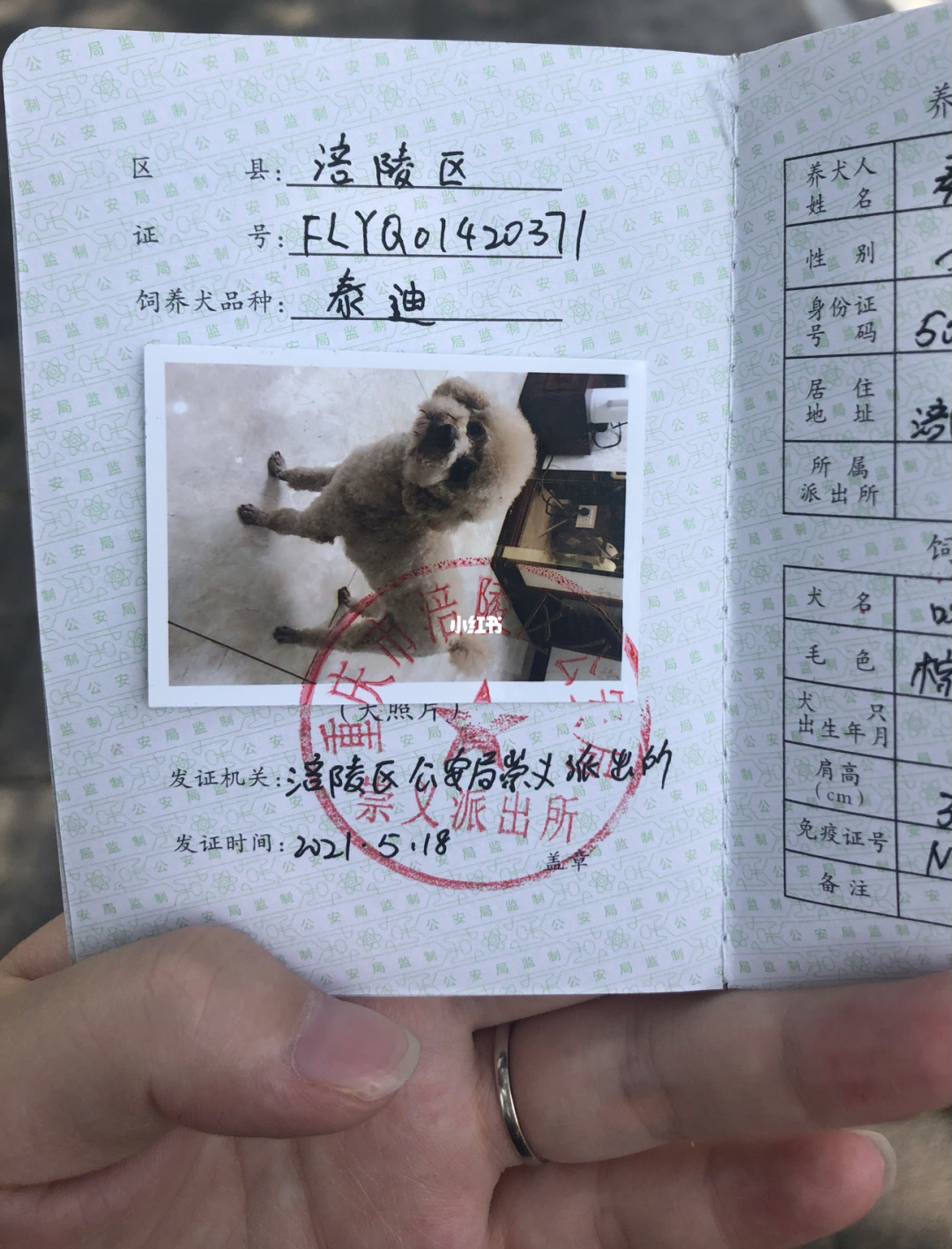 天津市狗证图片