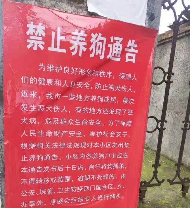 相狗秘诀什么狗养不得_城市养狗禁止_养哪几种狗好养能赚钱