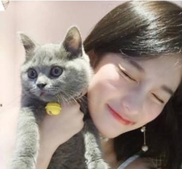 为什么女生，更爱养猫不养狗？这几点大概是原因