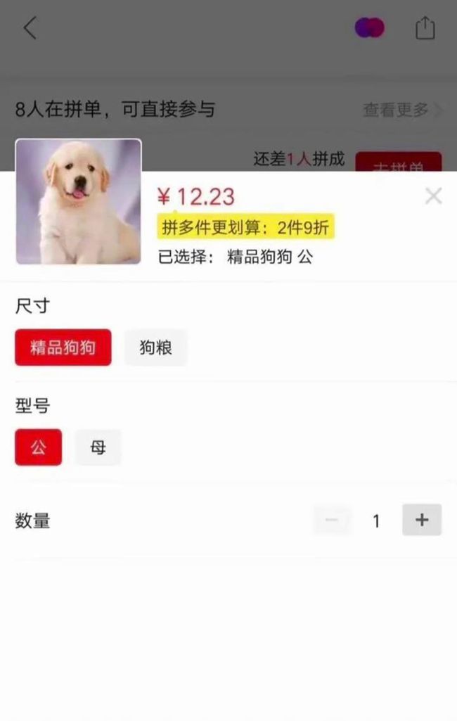 玉林狗贩虐狗逼爱狗者买 "不买就夹死"_买狗健康协议_健康咨询服务协议