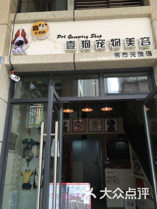 苏州沈思港路宠物店卖病狗_宠物店卖病狗_成都宠物店病狗