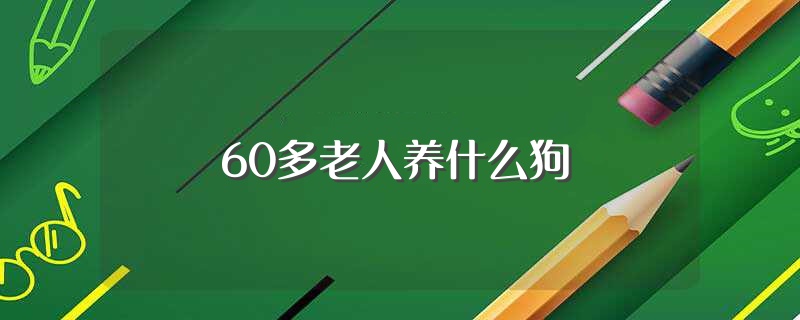 60多老人养什么狗（这6种小型犬值得一养）