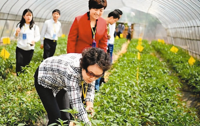 大棚养黄鳝技术视频_致富经广东养泥鳅视频_致富经大棚养狗视频