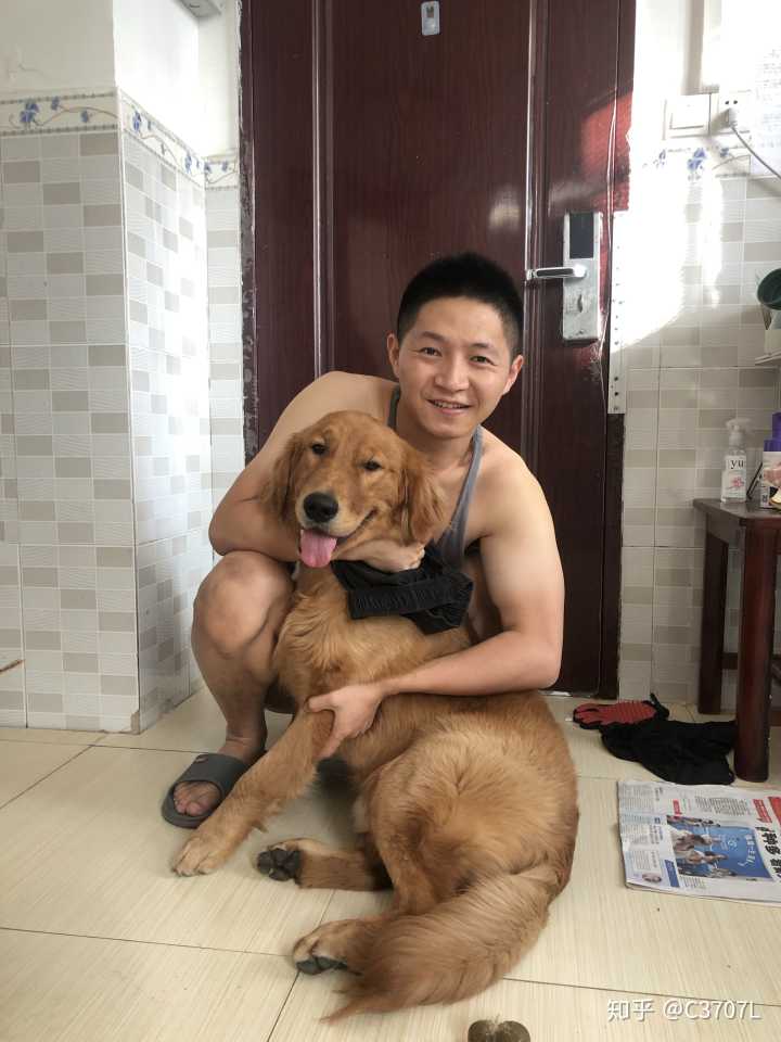 如何训练仓鼠装死_怎么训练狗狗装死?_怎样训练边境牧羊犬装死