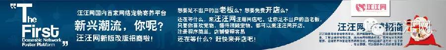 玩具狗品种迷你狗品种_超狗任务的狗是什么品种_腿短的狗有什么品种