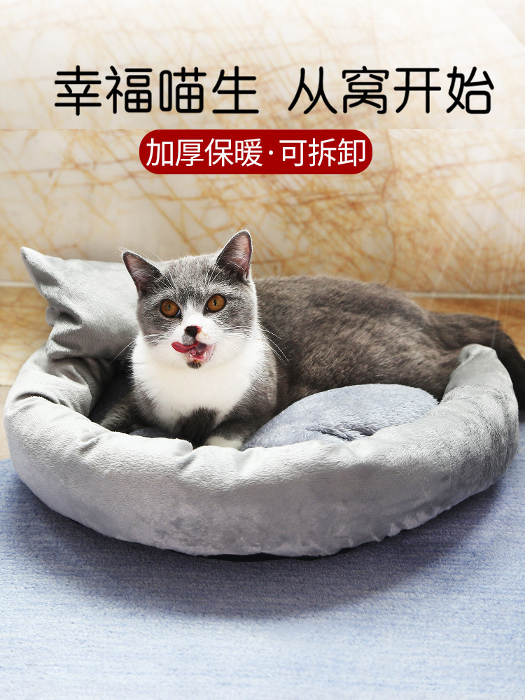 猫是哺乳动物吗_钱钟书 猫是独立的动物_哺乳期的猫可以绝育