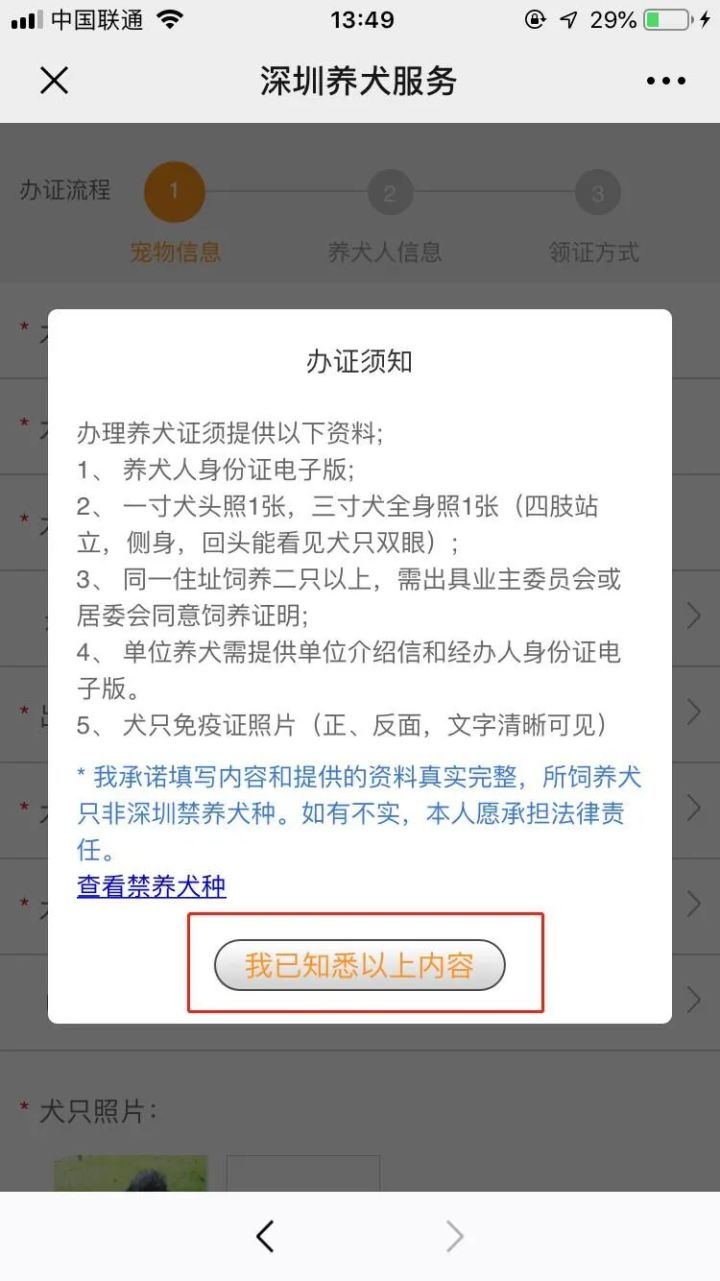 新手养什么狗最好,要聪明的狗_城市养狗管理规定_泰迪狗茶杯狗好养吗