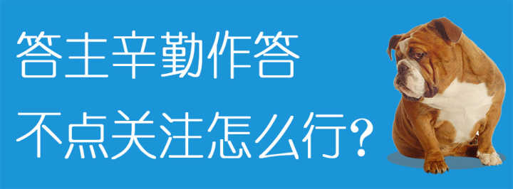 怎么训练狗狗大小便_狗狗训练百科_怎么样训练狗狗大小便