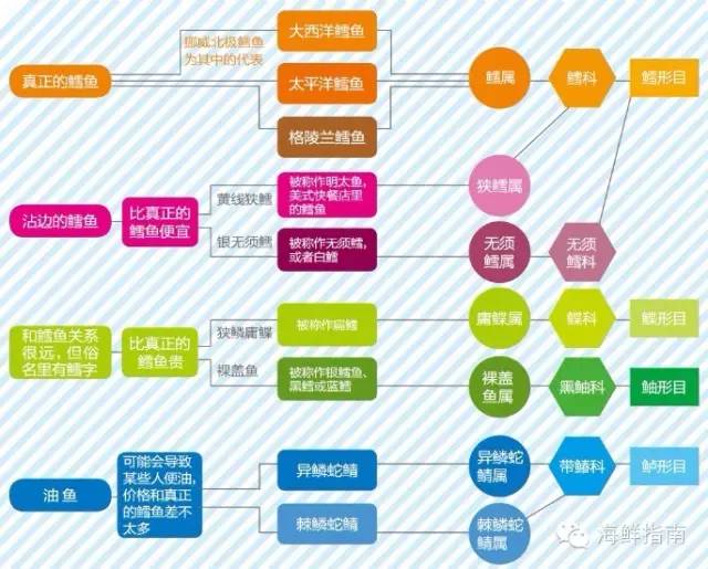 棘鳞蛇鲭 鳕鱼_棘鳞蛇鲭图片_异鳞蛇鲭营养价值