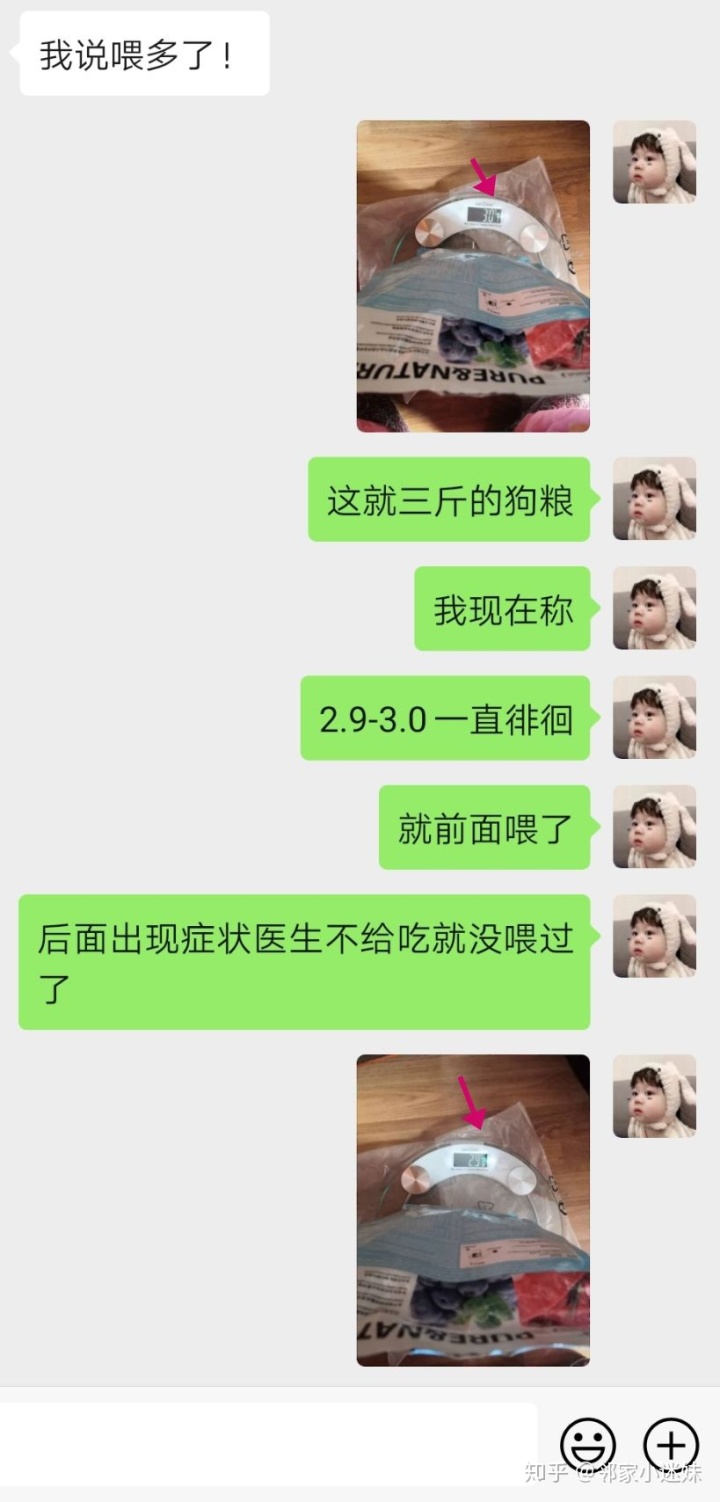 细小过后几天可以重新养狗_细小过后怎么最快养狗_农村可以养几十条狗吗