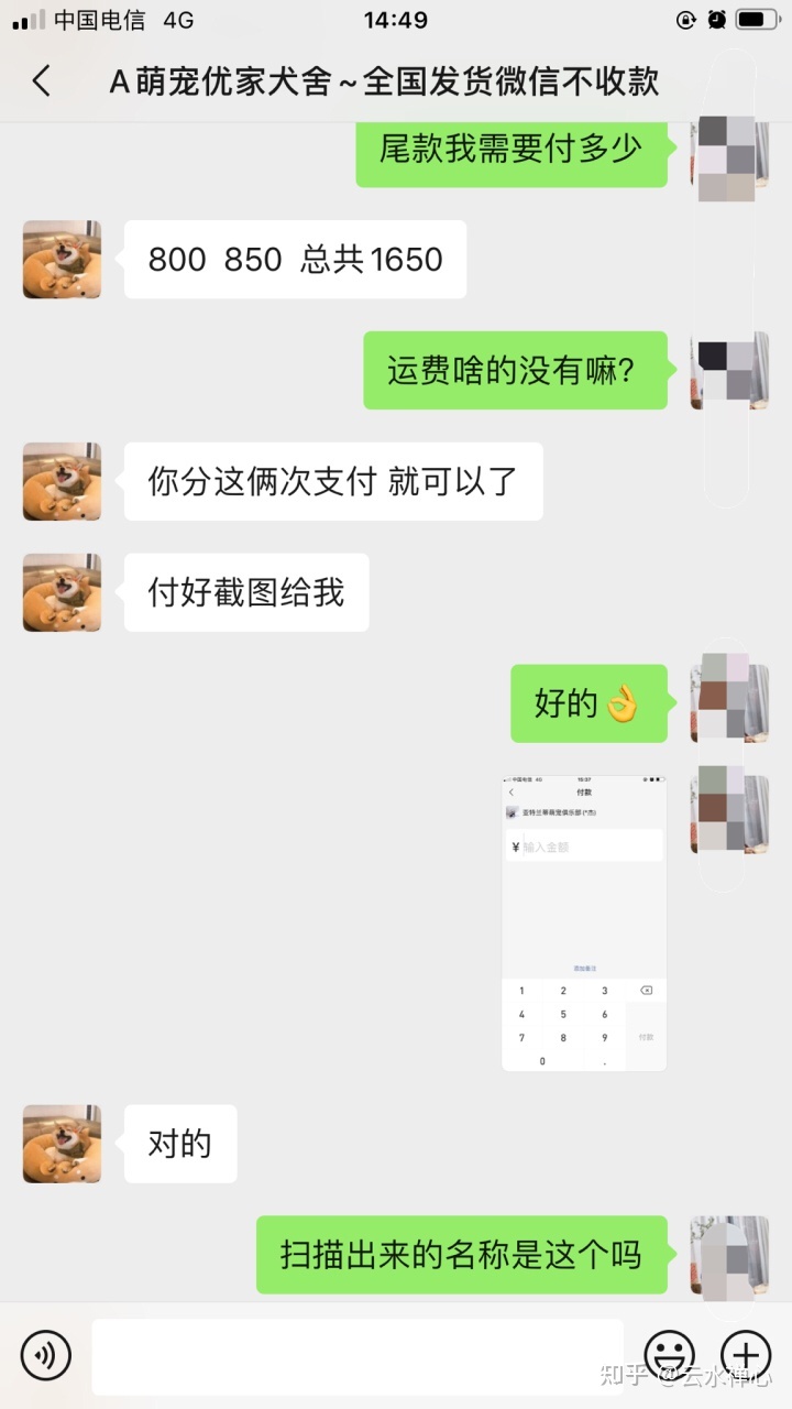 狗可以吃接狗七厘片吗_上海哪里可以买iwaya电动狗_哪里可以买狗