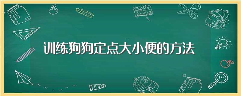 训练狗狗定点大小便的方法（如何训练狗狗定点大小便）