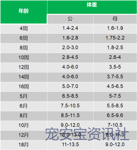 品种大的狗_细狗品种有哪些品种图片_细狗品种有哪些品种