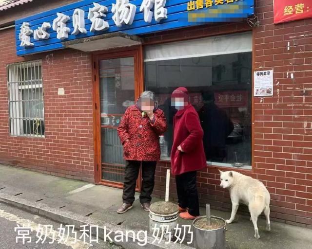 成都宠物店病狗_宠物店买到病狗怎么办_在宠物店买到病狗怎么维权