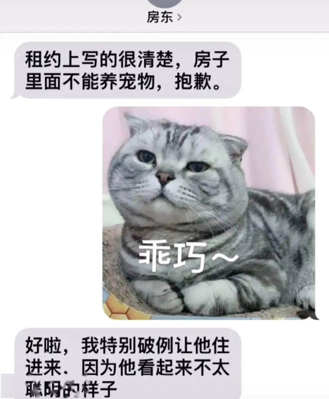 男孩子要穷养,女孩子要富养_不要租房给养狗的人_新手养什么狗最好,要聪明的狗