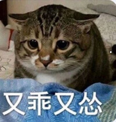 租房房东不让养猫换锁