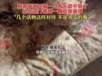 男孩子要穷养,女孩子要富养_新手养什么狗最好,要聪明的狗_不要租房给养狗的人