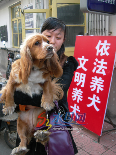 狗让猫咬了后期狗没有力气怎么办_偷狗的人让狗跟着他_小区不让养狗