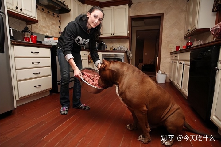 女孩子为什么不能养狗_女穿男七十年代养孩子_女总载把男友当狗养完整版