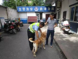 宠物狗丢了可以报警查监控吗