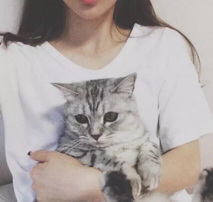 女孩子养猫好还是养狗好?这几点大概是原因？