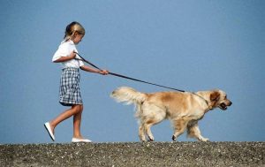 女孩子为什么不可以养狗?(“女不养狗”有没有科学依据？)