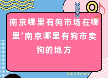 南京哪里有狗市场在哪里，南京哪里有狗市卖狗的地方